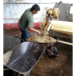 Café en Grains Perou Bio Oxapampa -1kg Chacun Son Café - 5