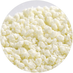 REGILAIT BIO LAIT ECREME 500GR GRANULE - carton de 10