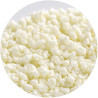 REGILAIT BIO LAIT ECREME 500GR GRANULE - carton de 10