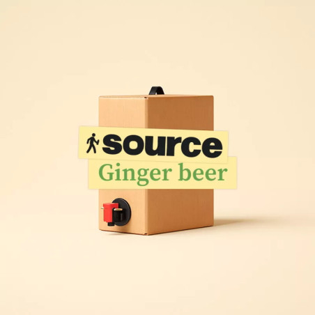 Ginger beer Source - 3L