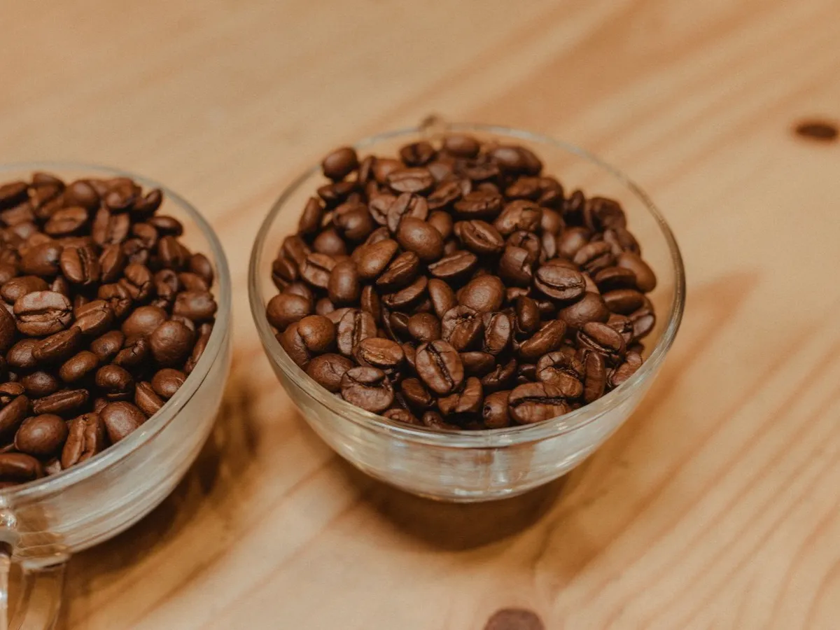 Deux coupelles de grains de café torréfiés côte à côte illustrant le choix entre arabica et robusta
