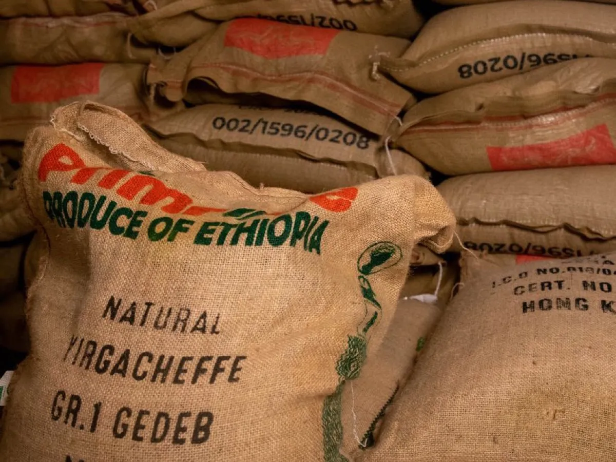 Sacs de café vert d'Éthiopie Yirgacheffe empilés, berceau de l'arabica