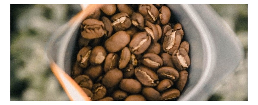 Café en Grain 100% Arabica