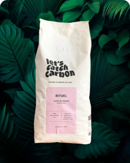 Café en Grain Qualité Oro